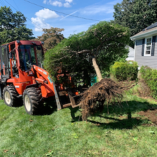 Landscape-Design-Installation-Plus-Irrigation-Overseeding-in-Stratford-CT 0